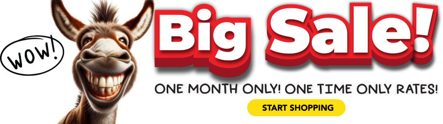 Big Sale! One month only! One tim only rates!